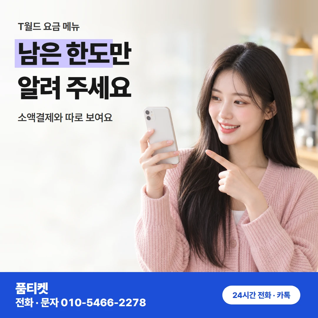 SKT 한도 확인